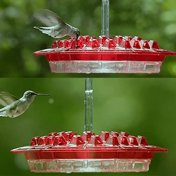 Solelylife Sweety Hummingbird Feeder
